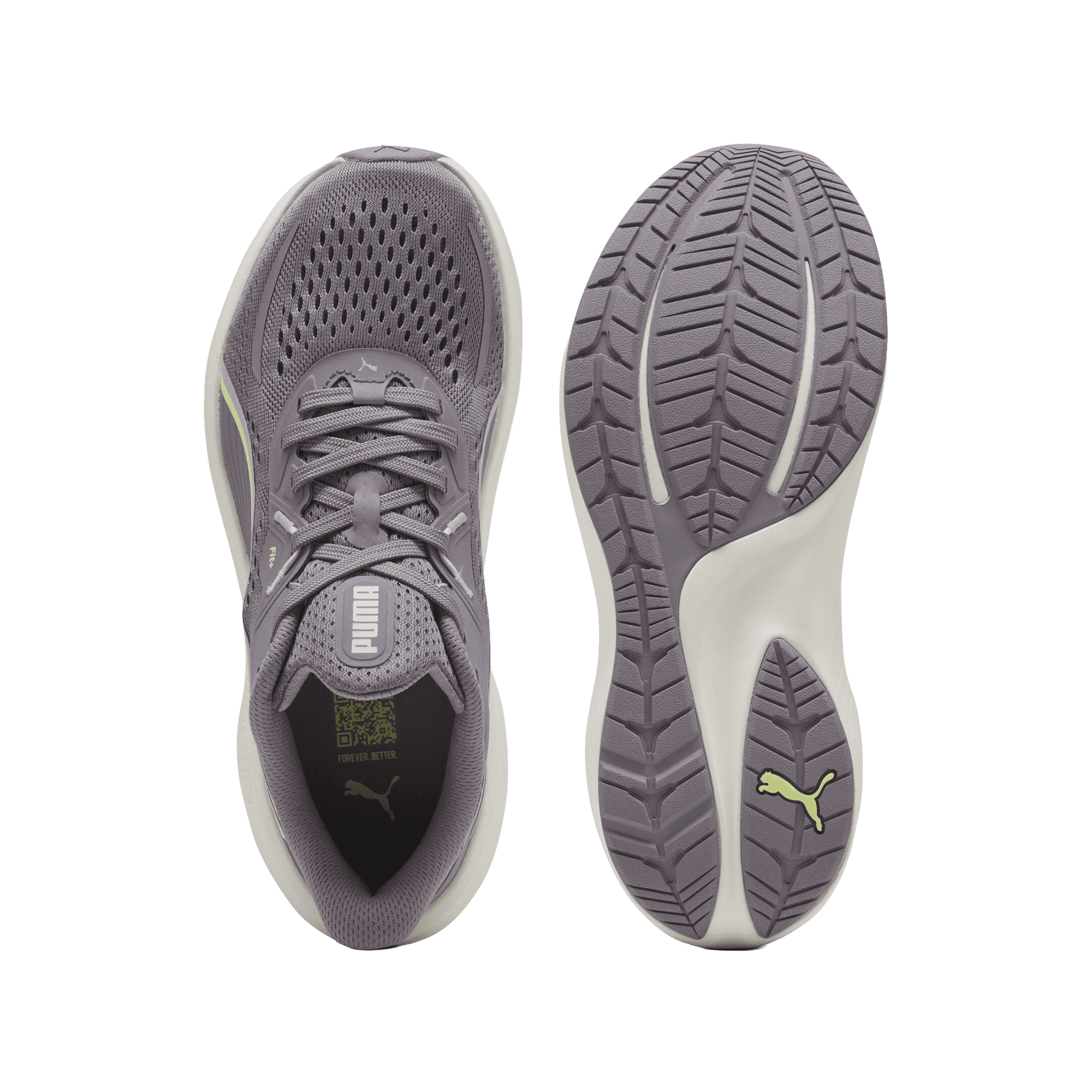 Skyrocket Lite 2
