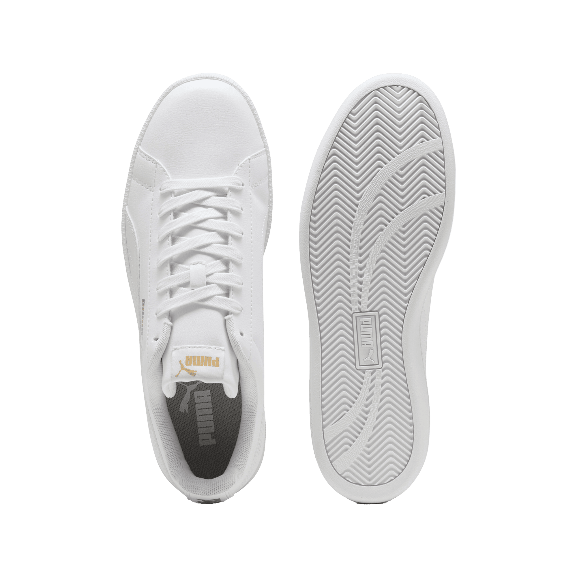 PUMA UP