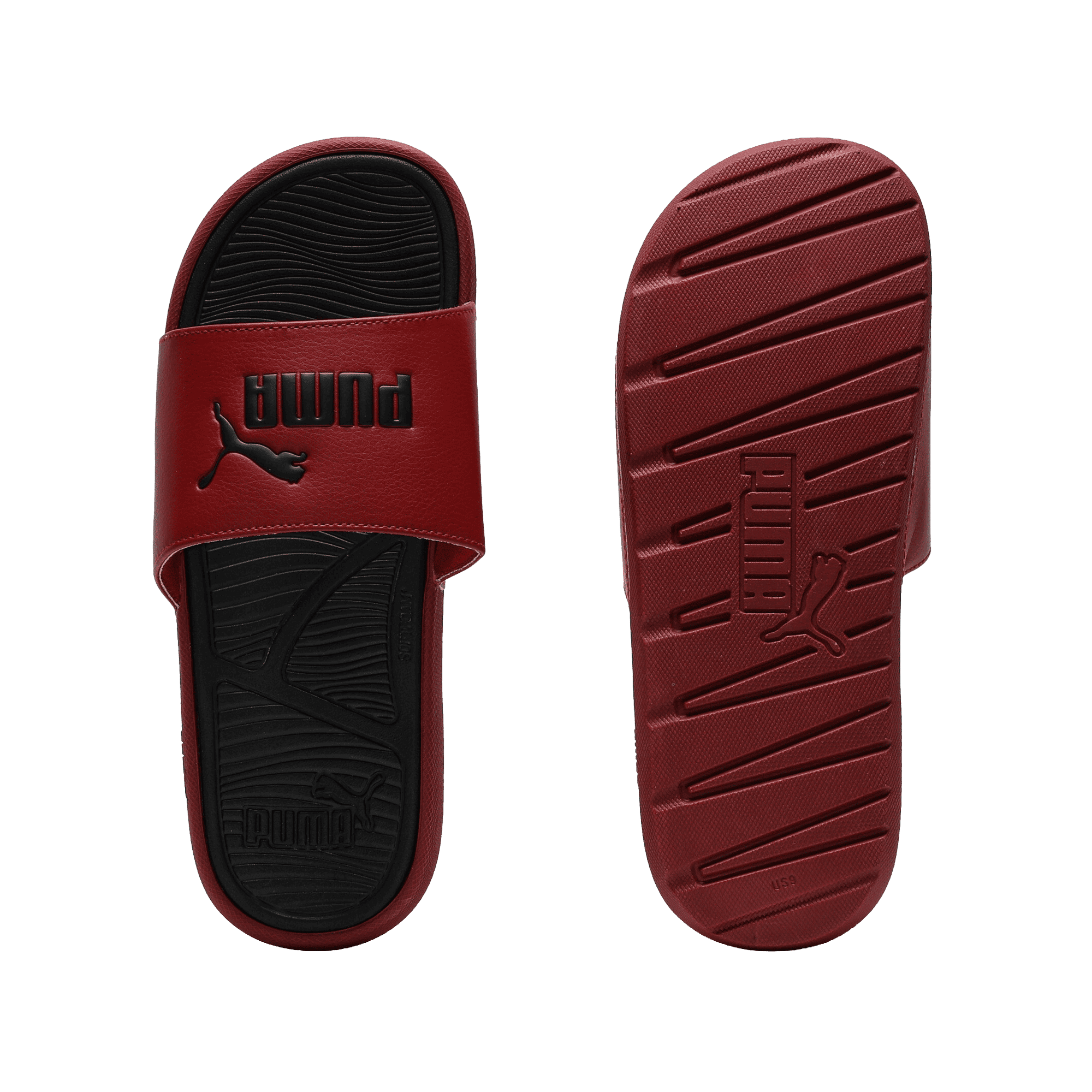 Cool Cat 2.0 Slides