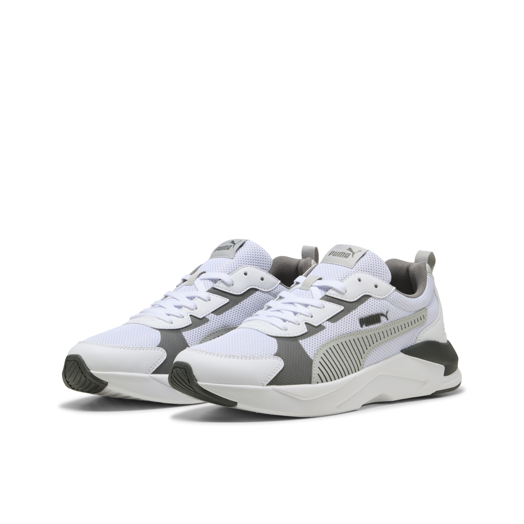X-Ray 3 Lt