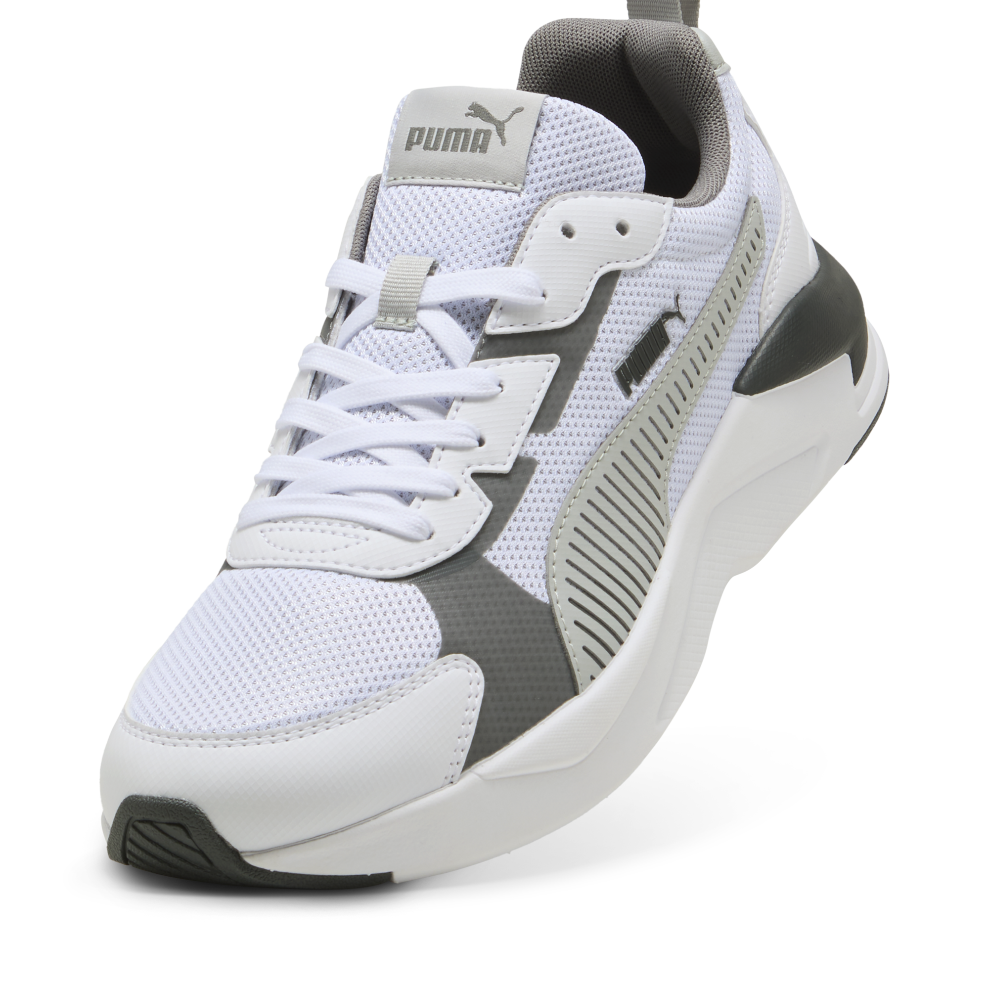 X-Ray 3 Lt