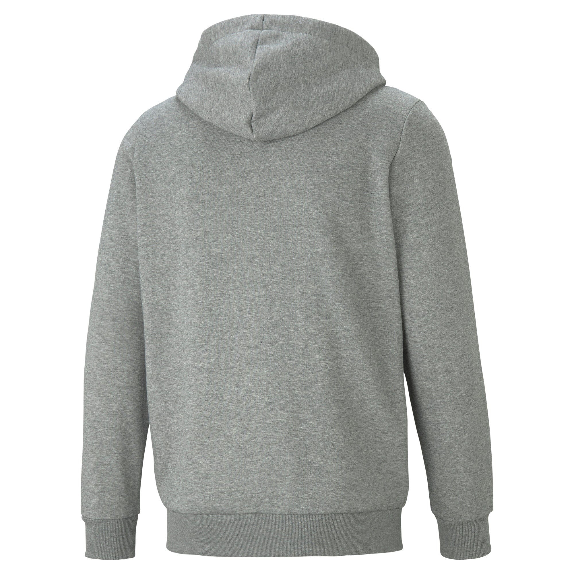 ESS Small Logo FZ Hoodie FL