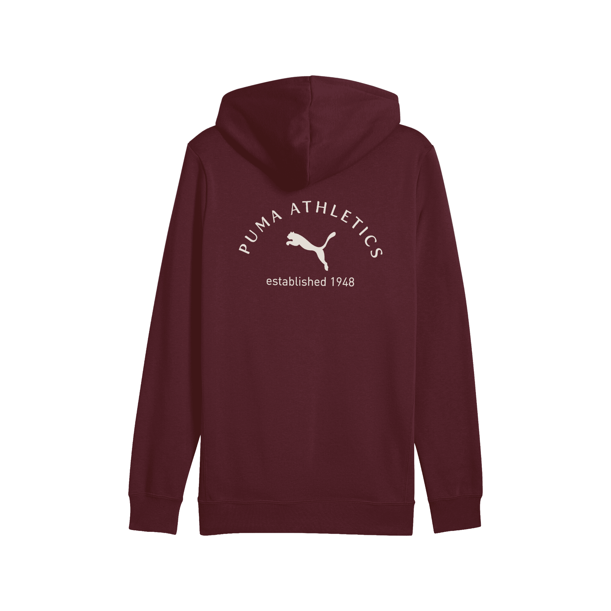 PUMA Class Graphic Hoodie
