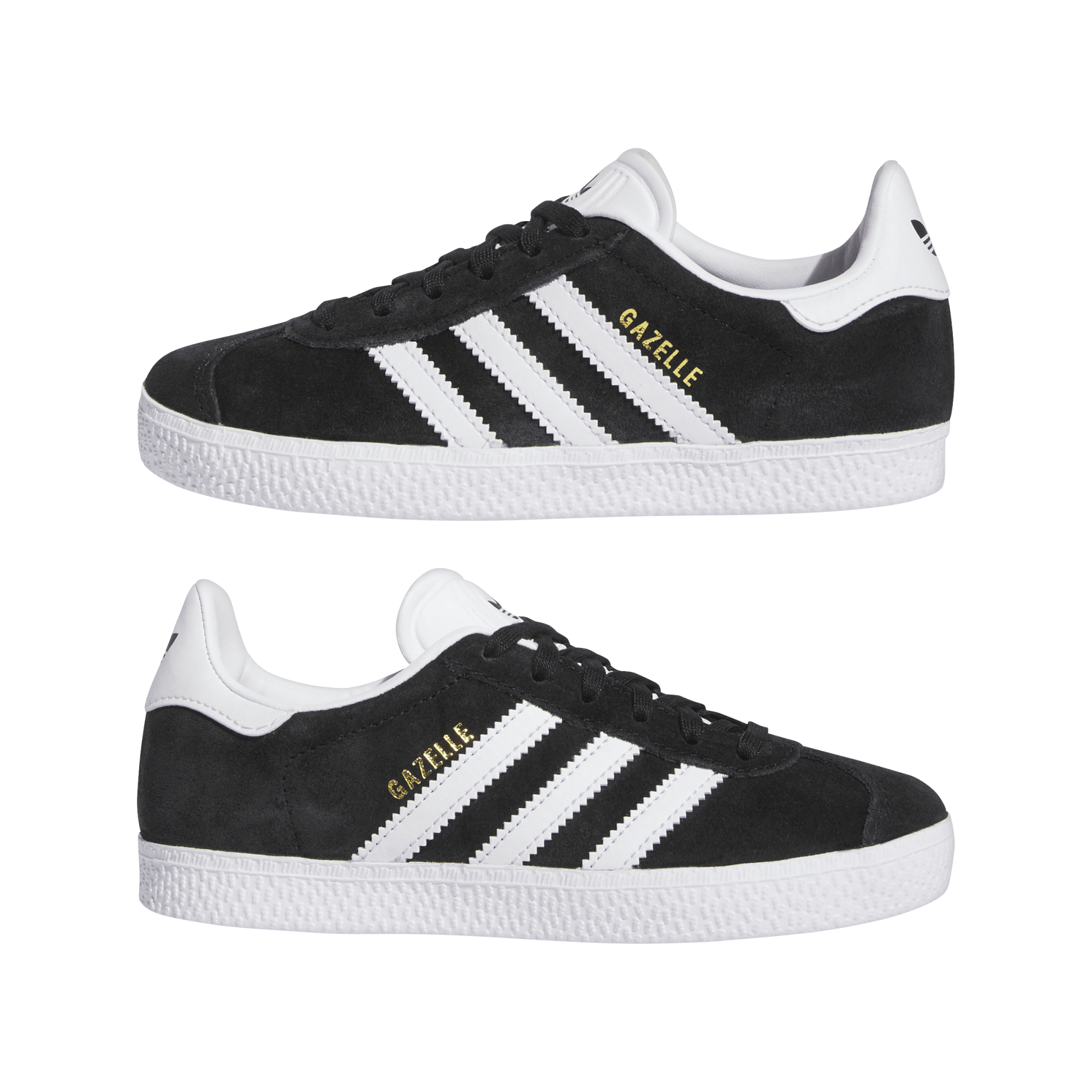 GAZELLE C