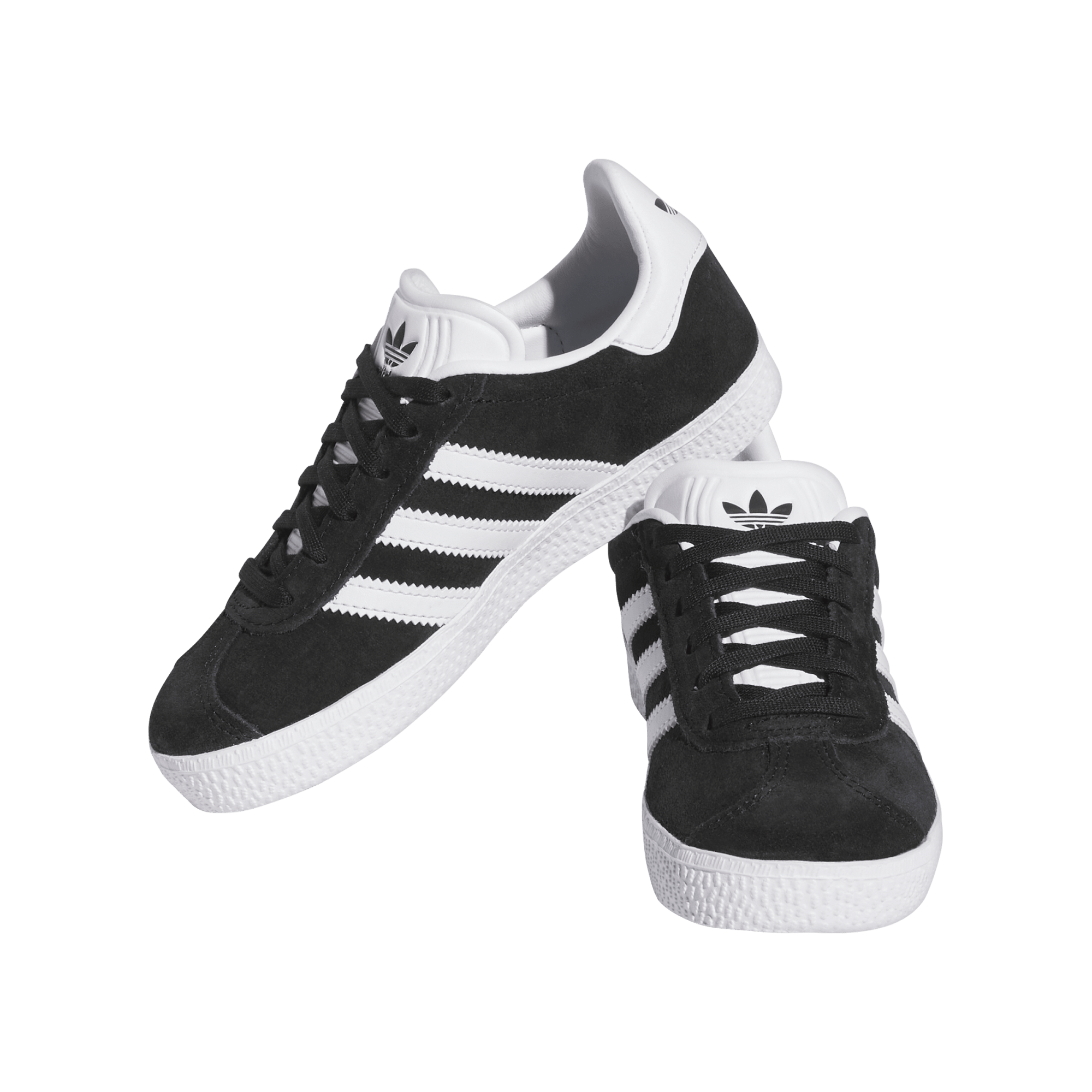 GAZELLE C