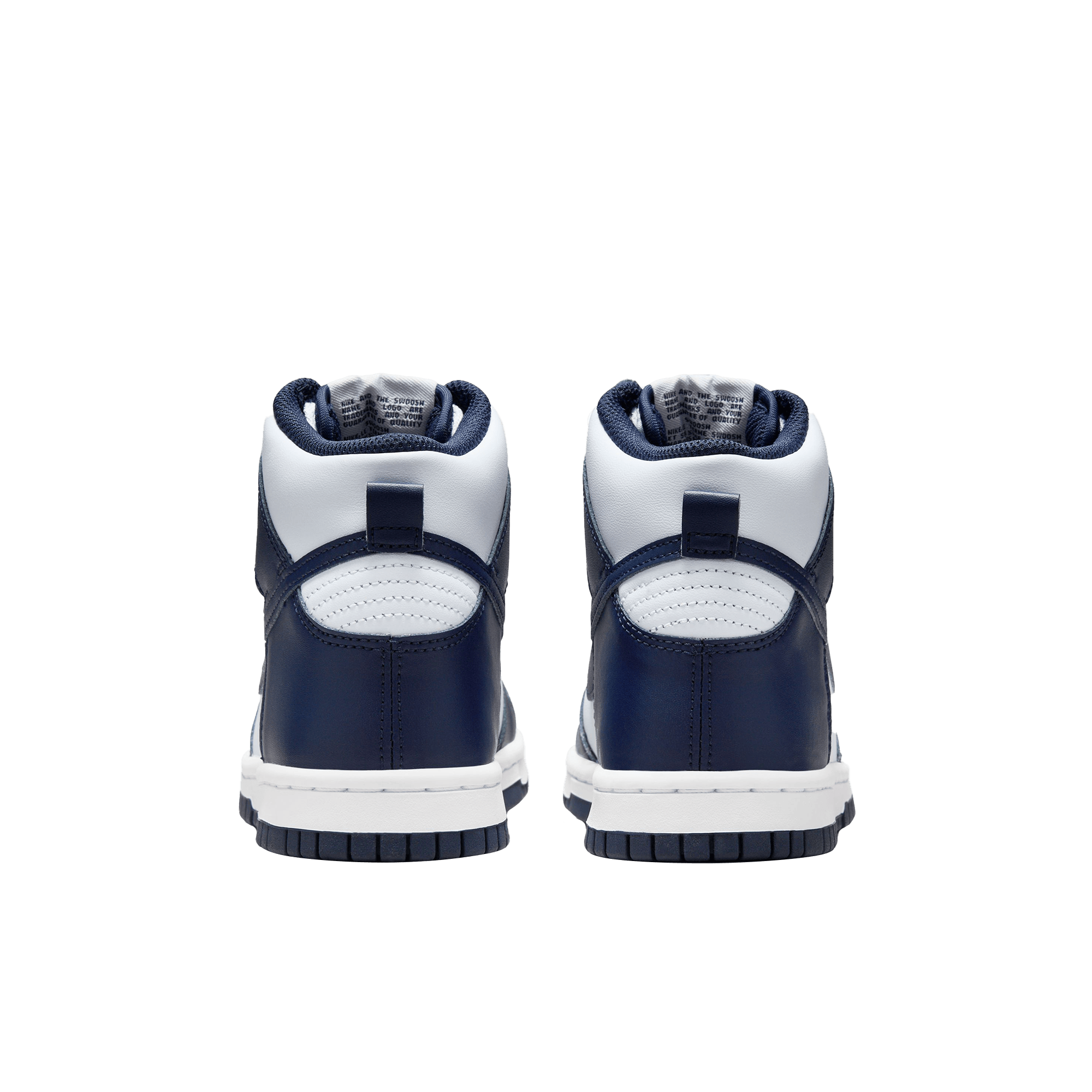 Nike Dunk High Bg
