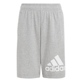 Essentials Big Logo Cotton Shorts-5
