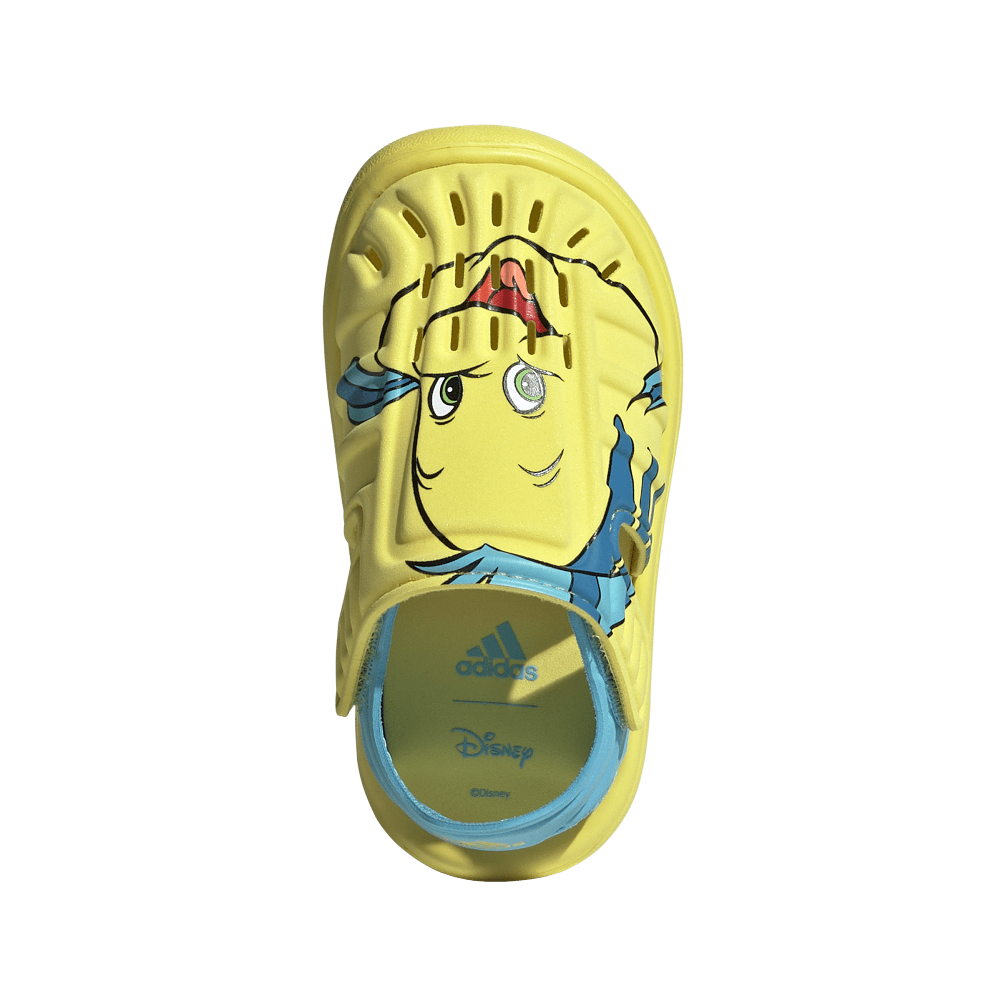 Water Sandal Flounder I