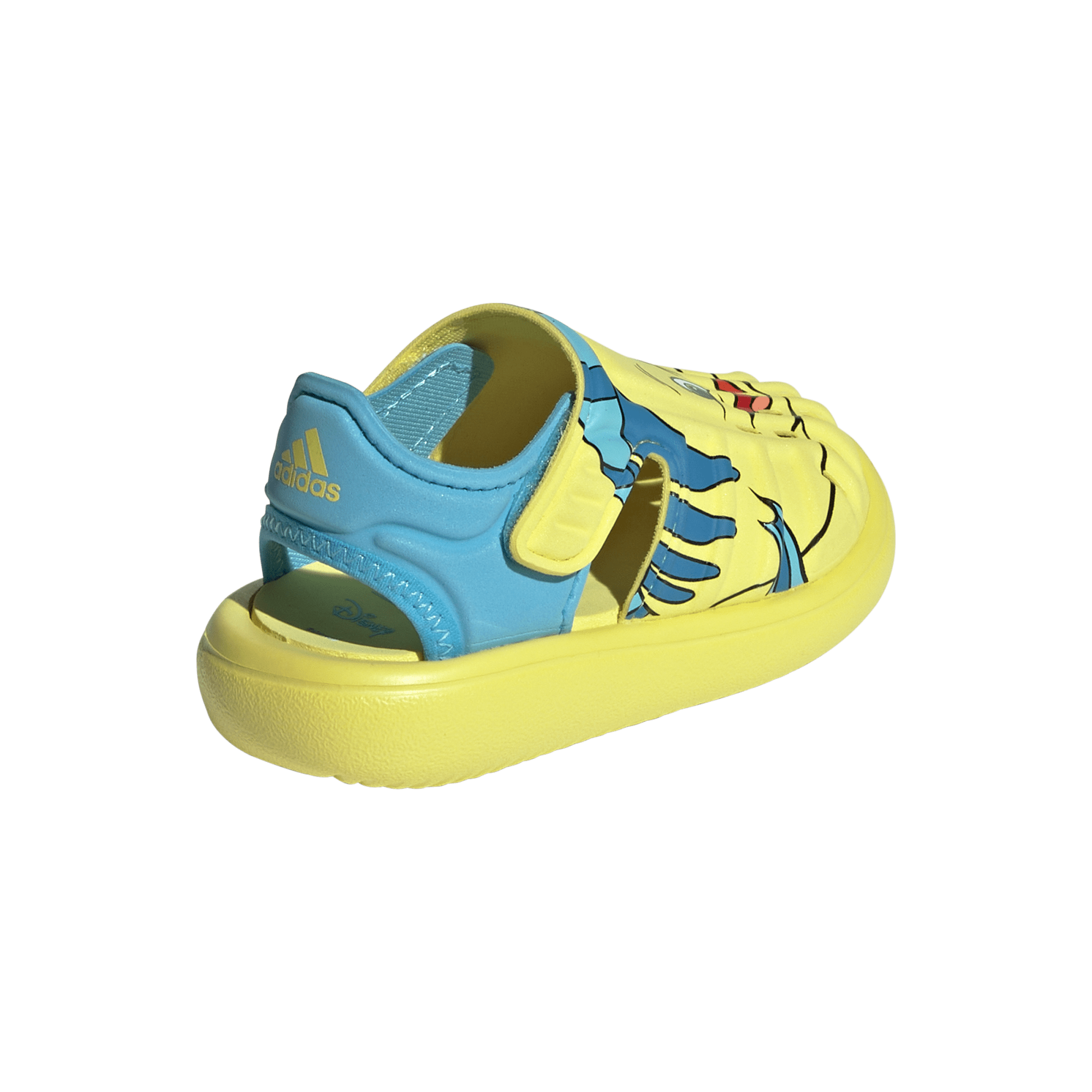 Water Sandal Flounder I