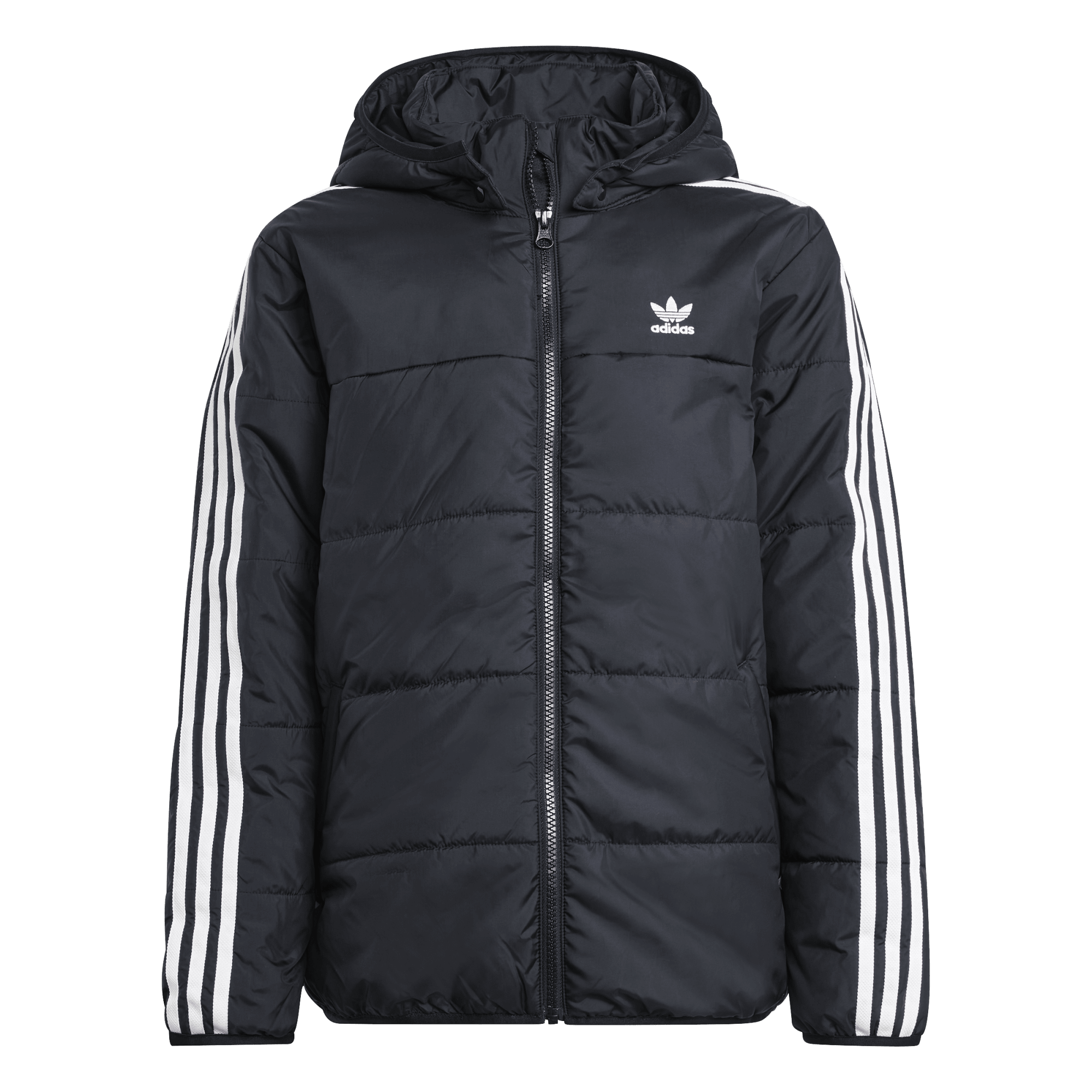 Padded Jacket