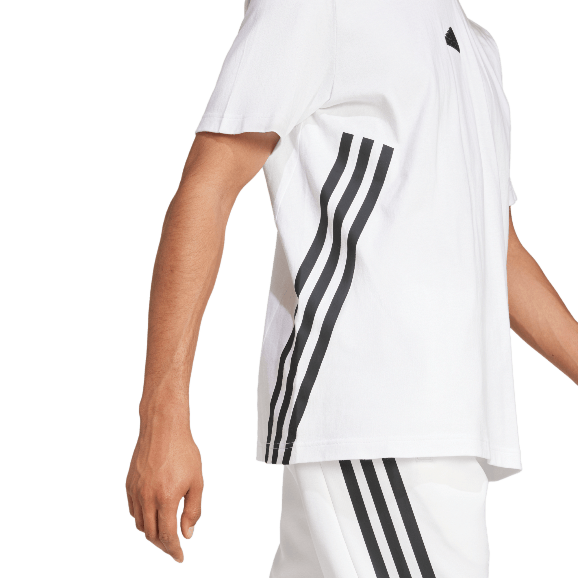 M Fi 3S Reg T