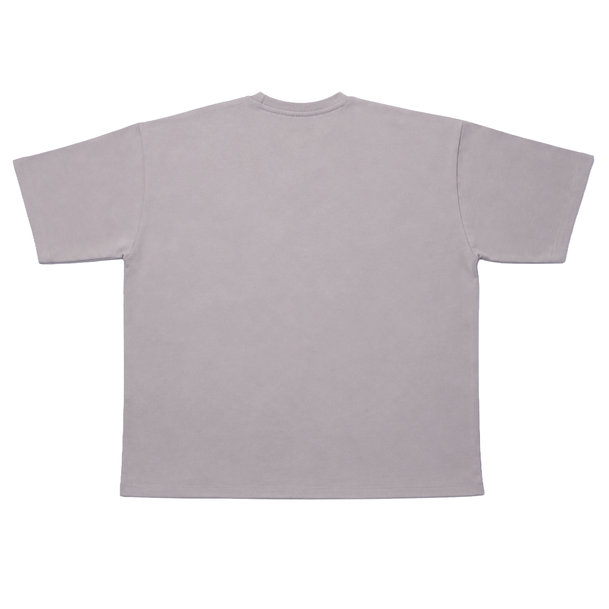 Fitsole Light Grey Pantone Tee
