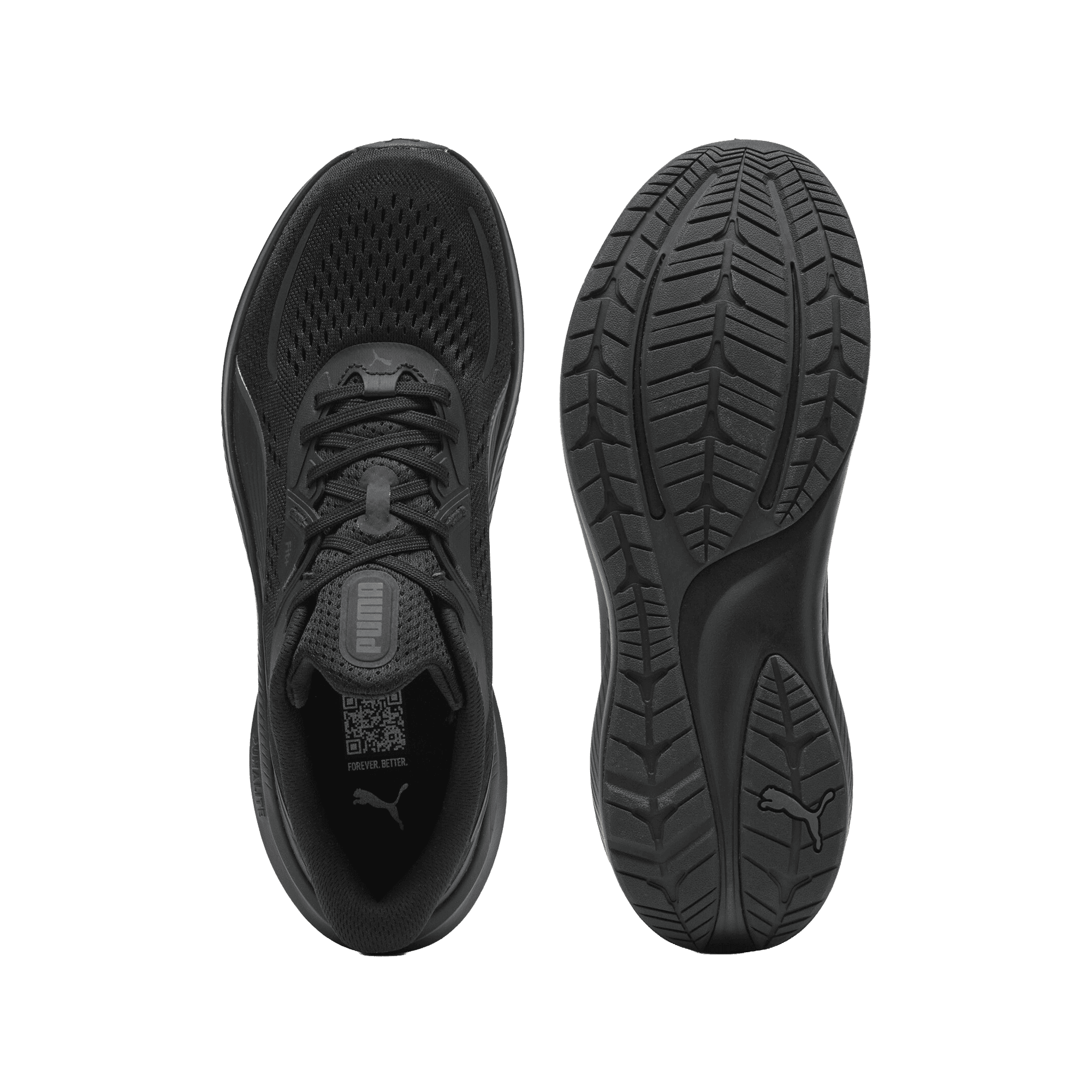 Skyrocket Lite 2