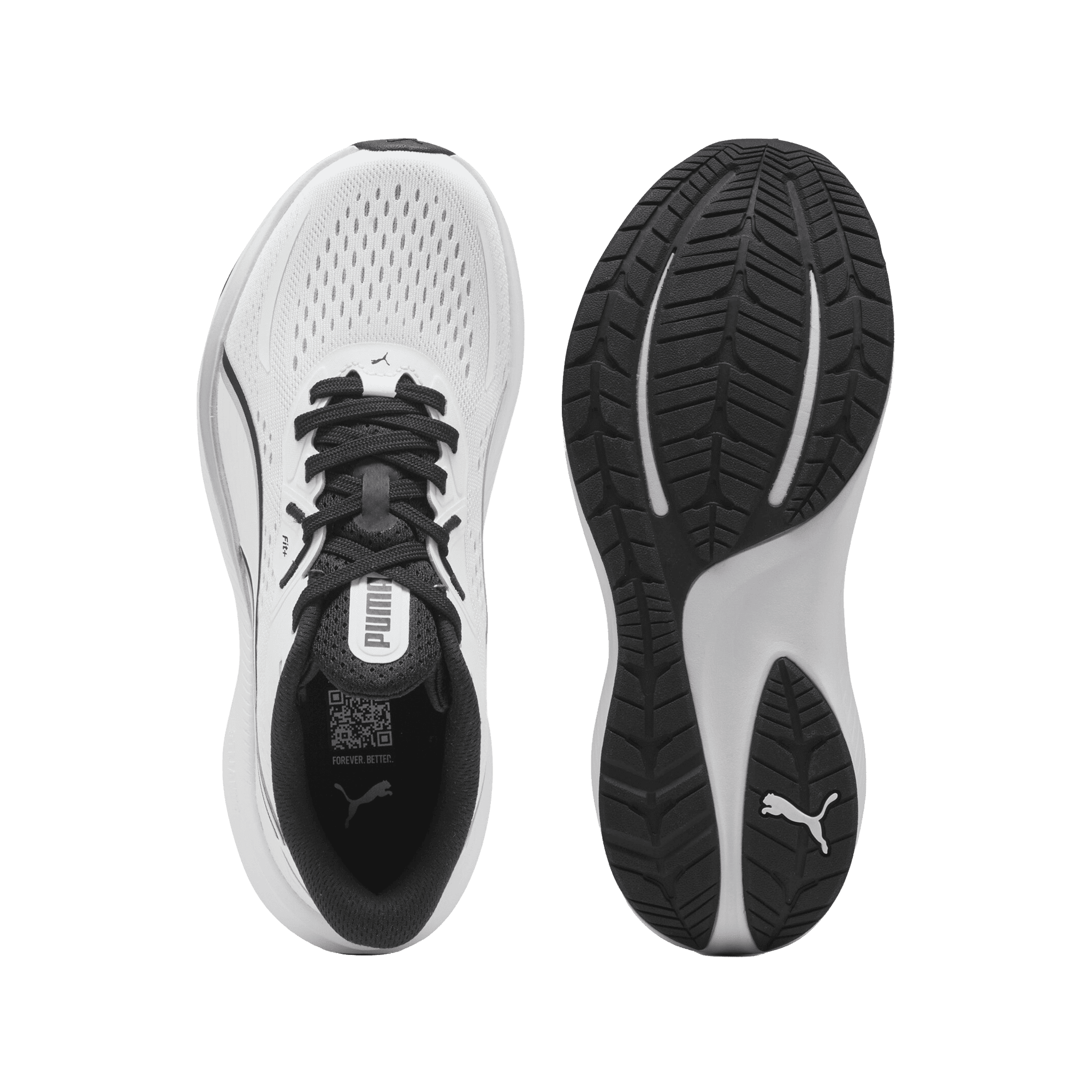 Skyrocket Lite 2