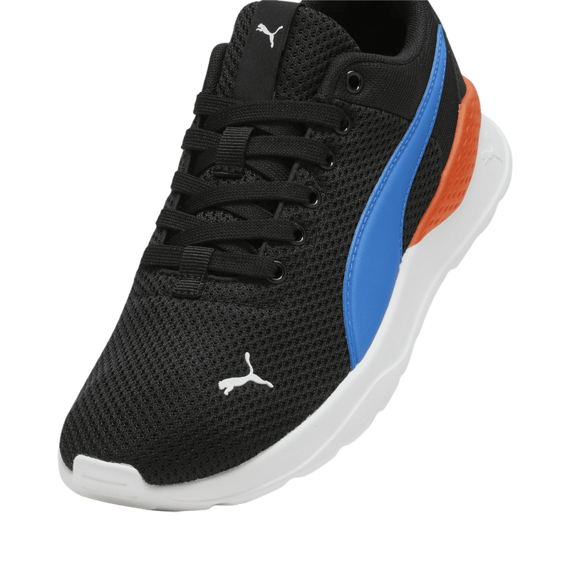Anzarun Lite