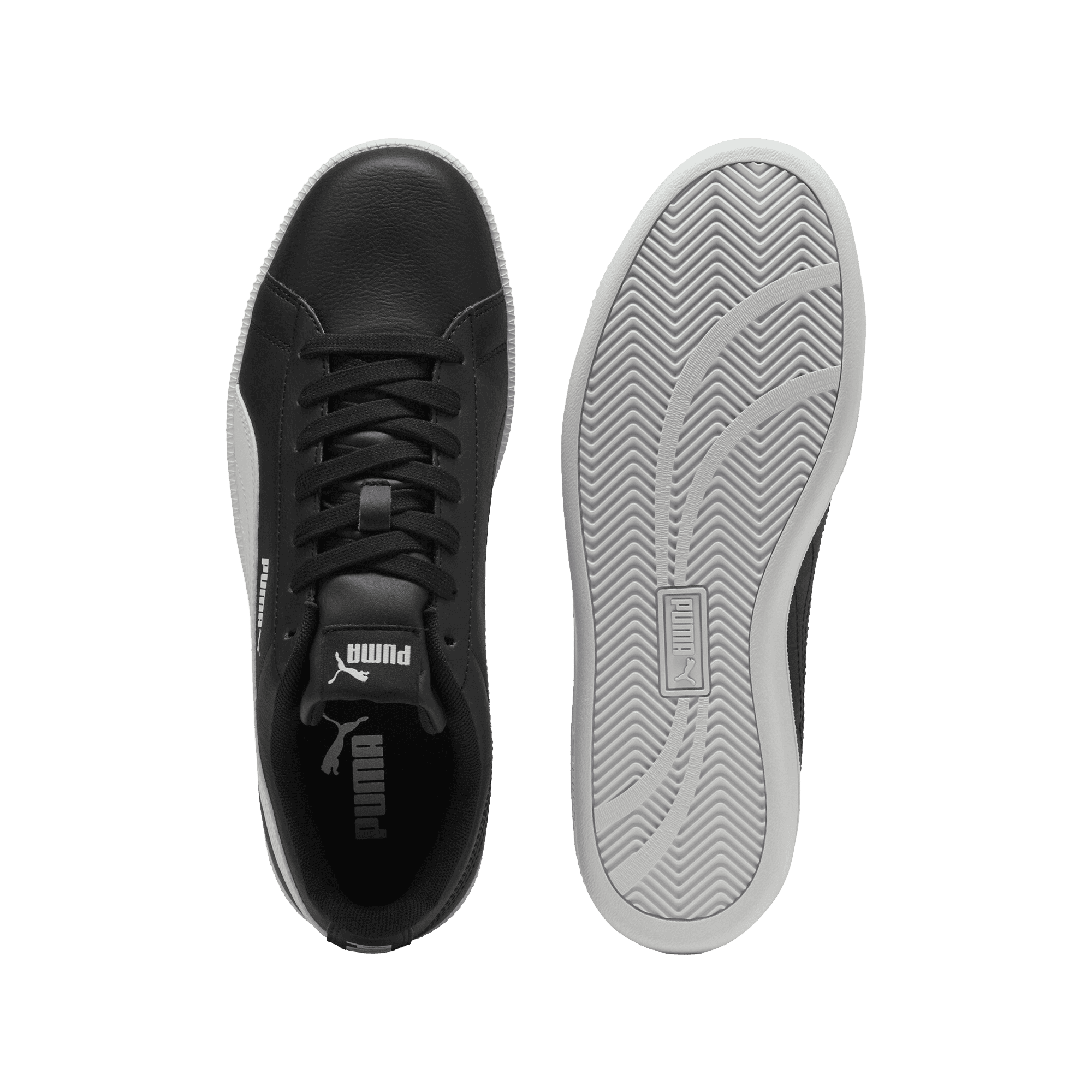Puma Up