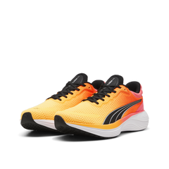 Scend Pro