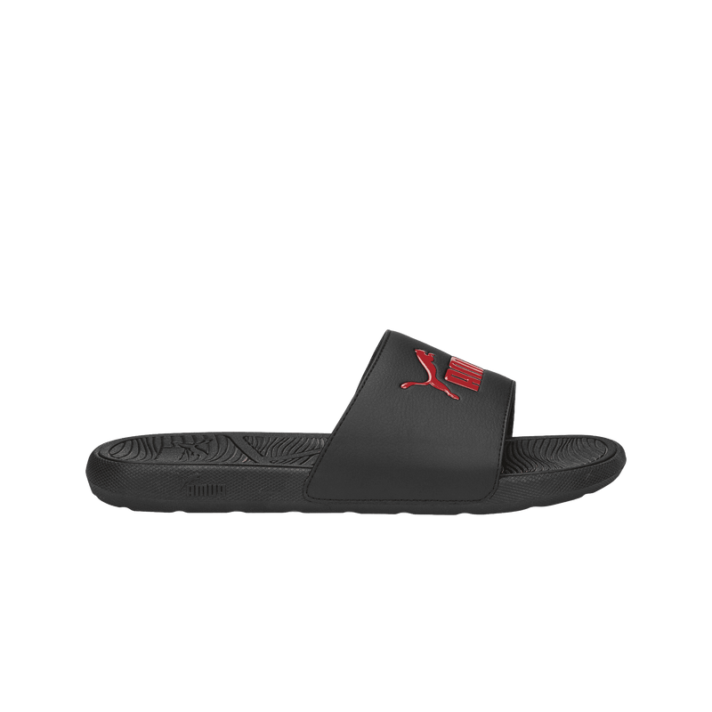 Cool Cat 2.0 Slides