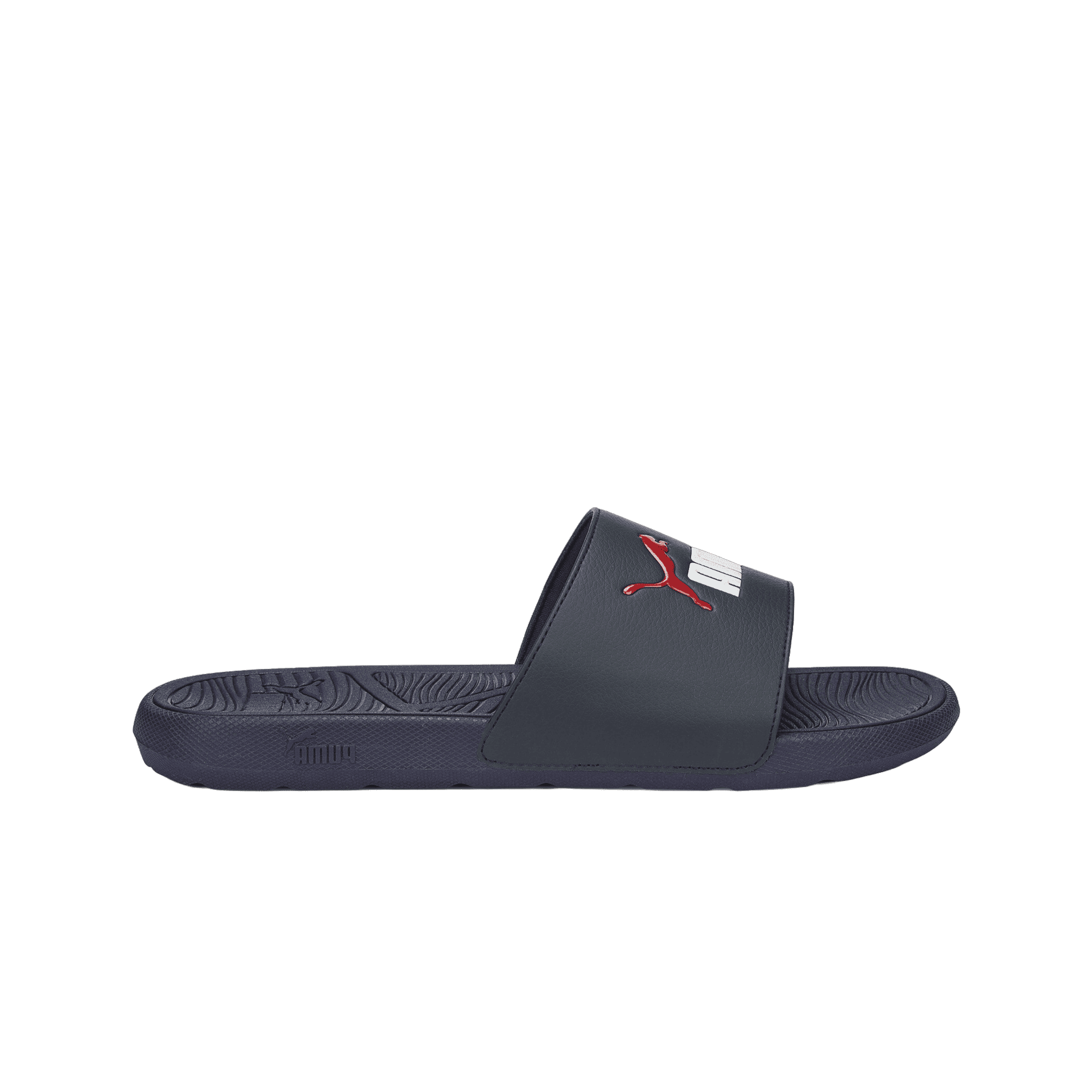 Cool Cat 2.0 Slides