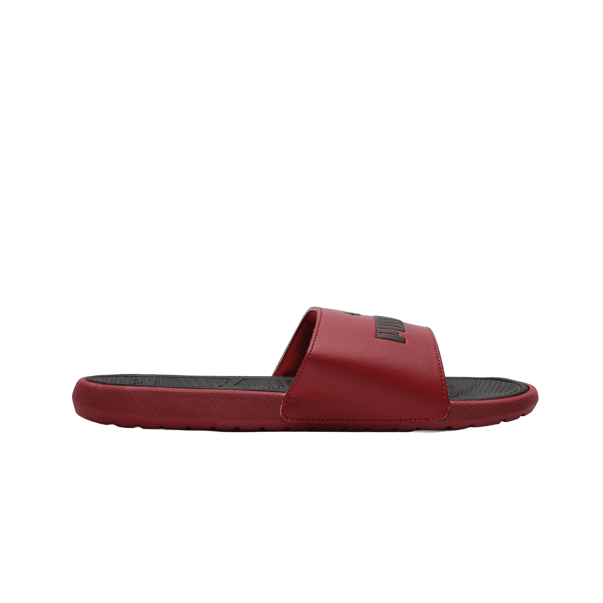 Cool Cat 2.0 Slides