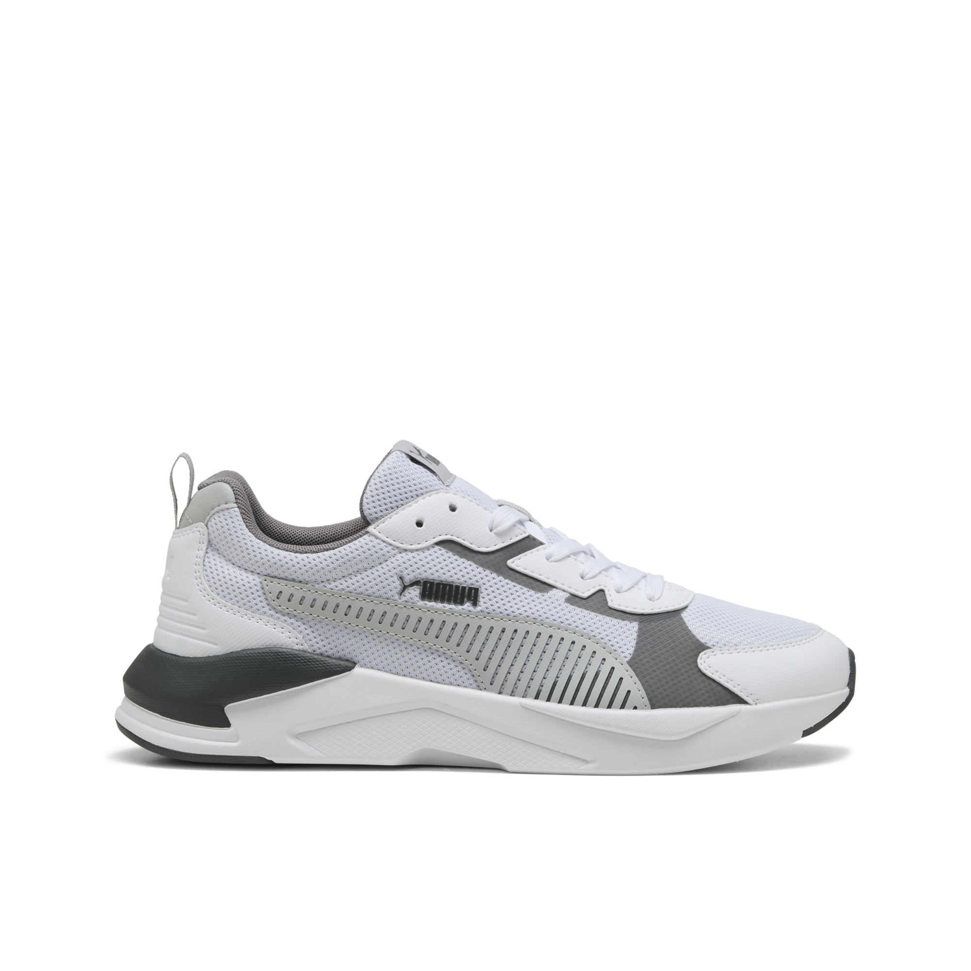 X-Ray 3 Lt
