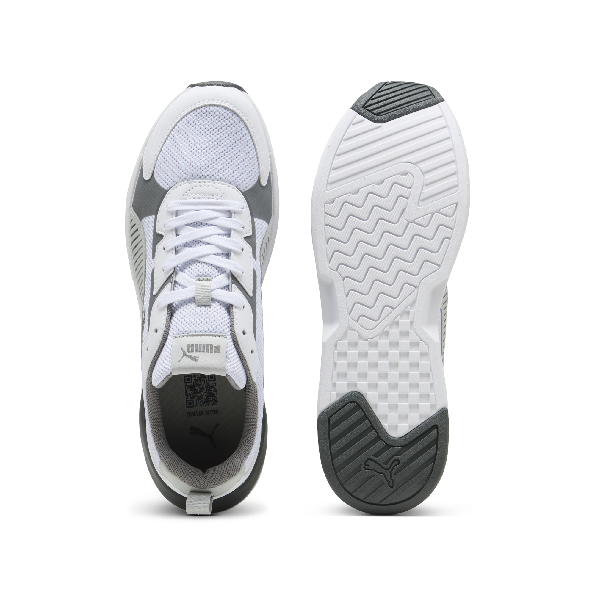 X-Ray 3 Lt