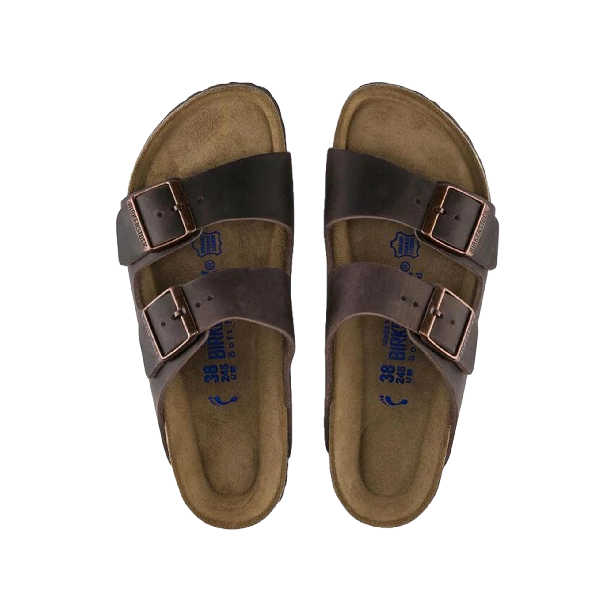 Arizona SFB LEOI