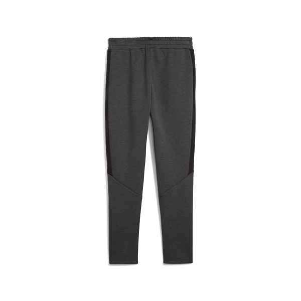 Evostripe Core Pants