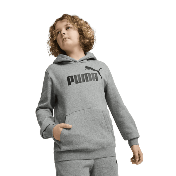 ESS No. 1 Logo Fleece Hoodie