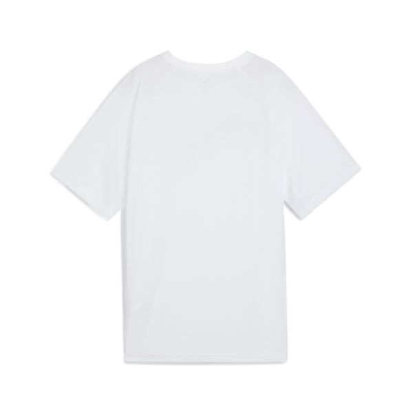 Evostripe Relaxed Tee