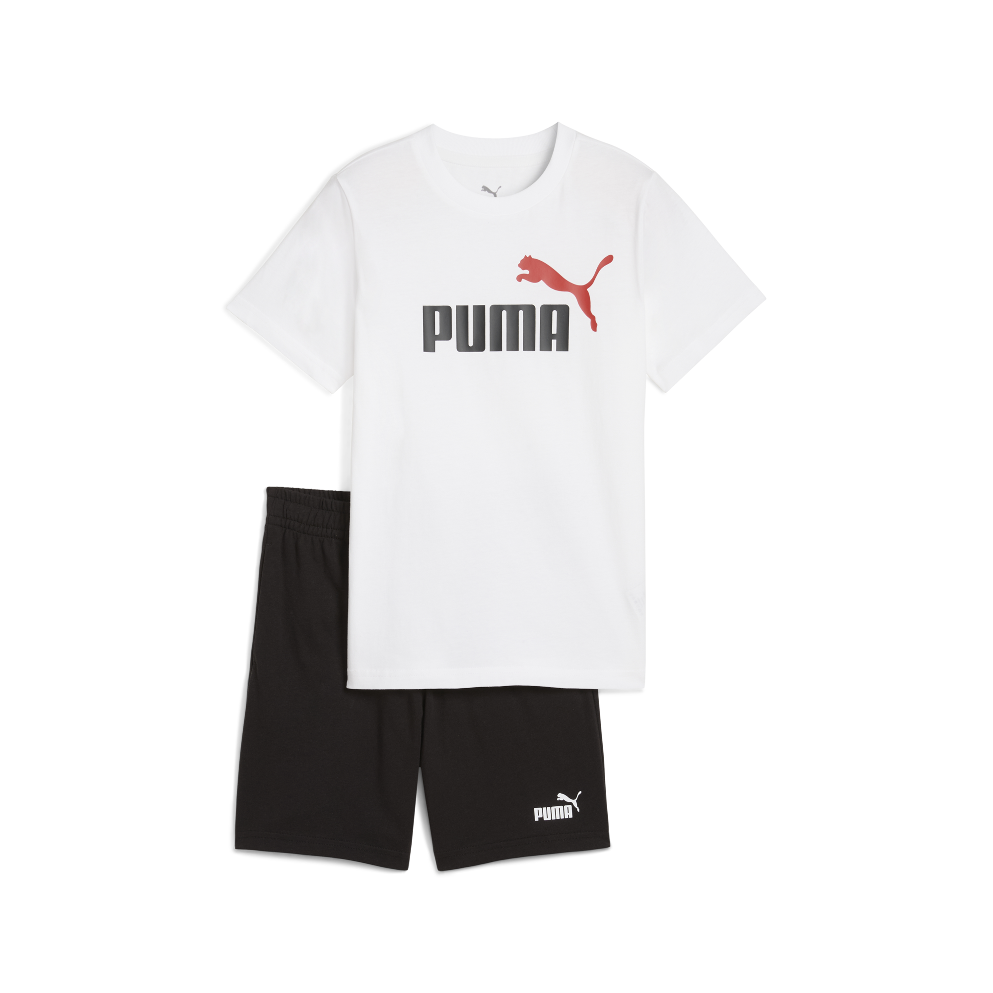 Ess 2 Color No. 1 Logo Tee And Shorts Set B