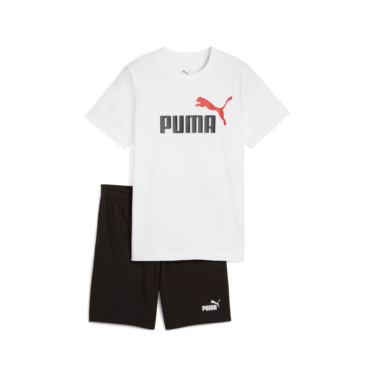 Ess 2 Color No. 1 Logo Tee And Shorts Set B