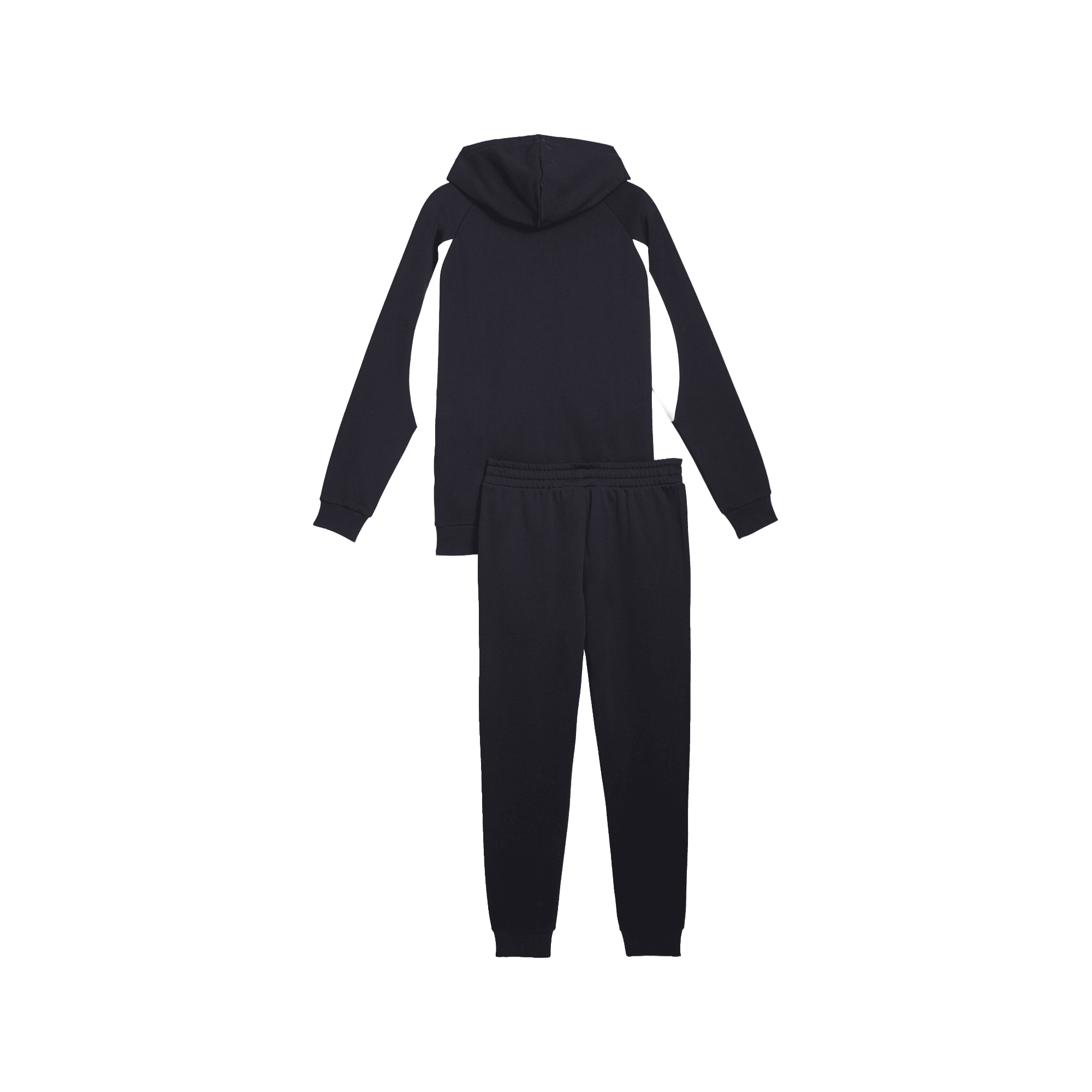 PUMA Sport Hooded Sweat Suit