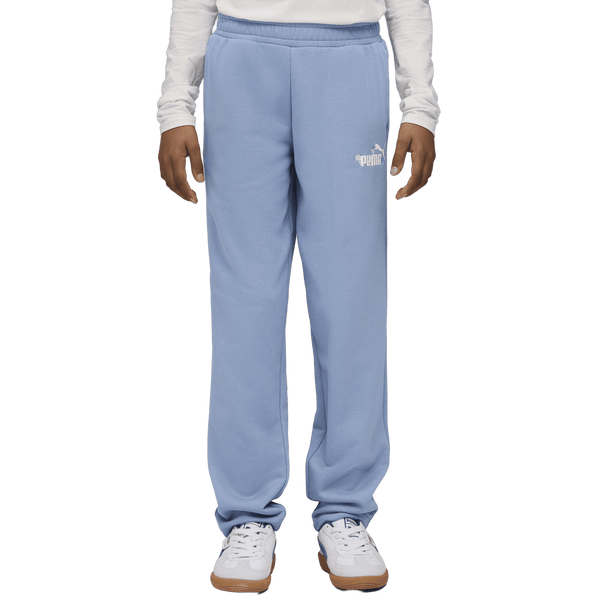 Essentials Nature 2.0 No. 1 Logo Straight Pants Youth
