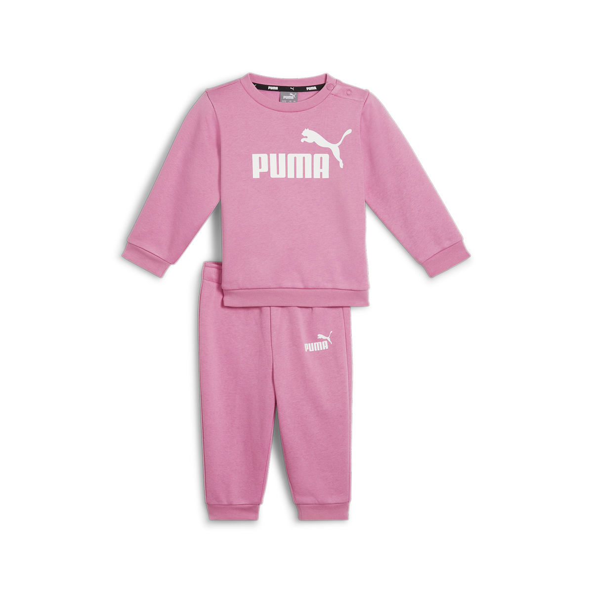 Minicats ESS Crew Jogger FL