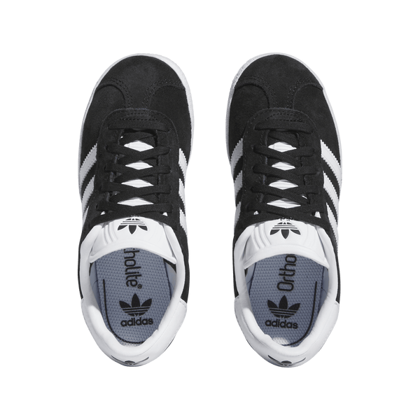 GAZELLE C