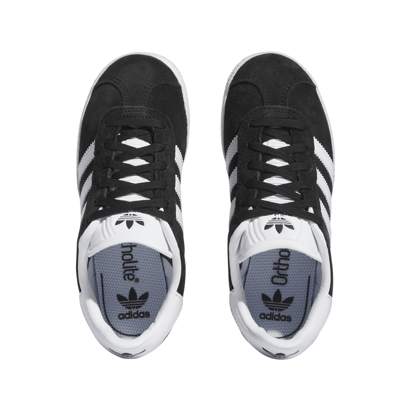 GAZELLE C