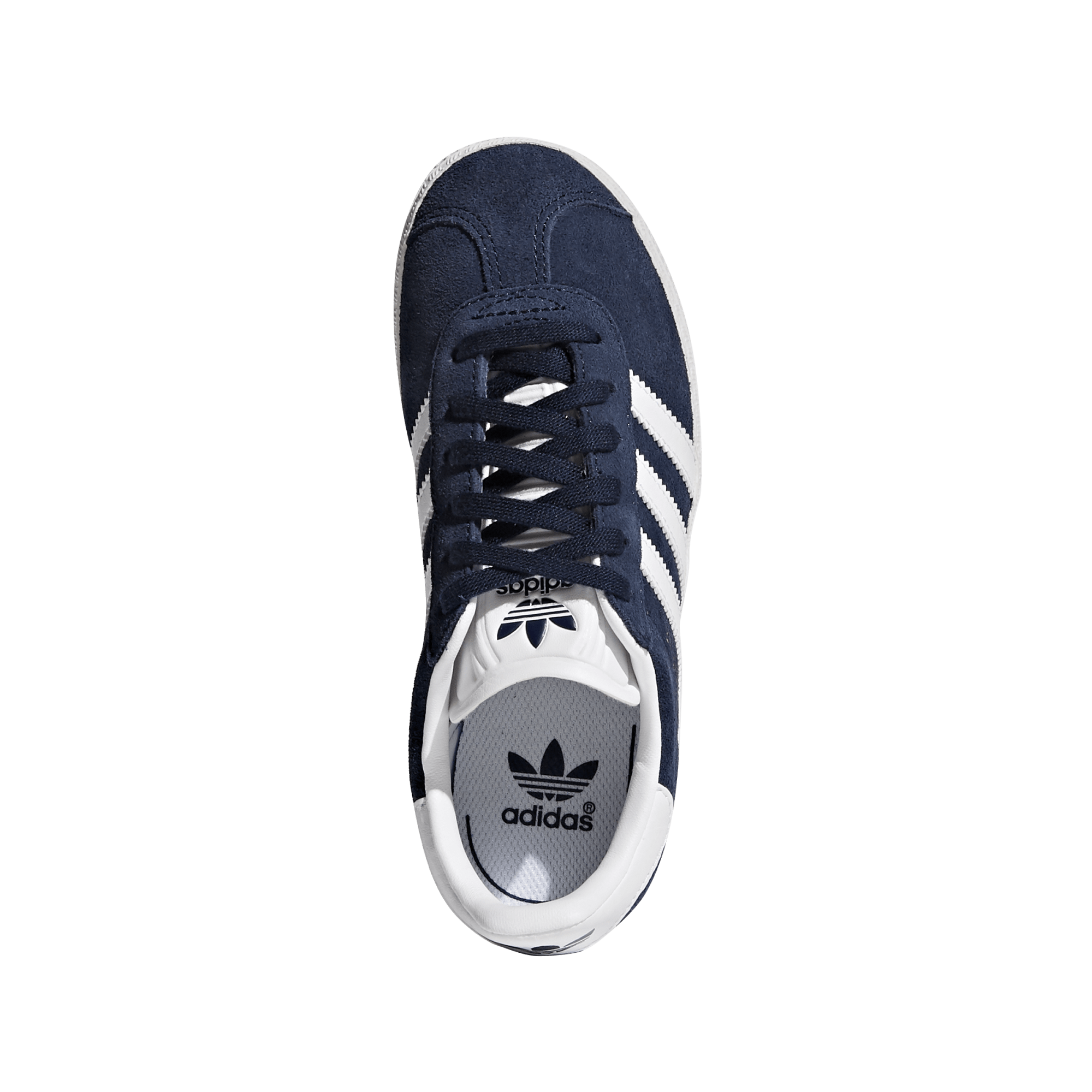 Gazelle C