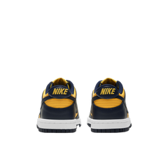 Nike Dunk Low Bg