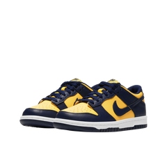 Nike Dunk Low Bg