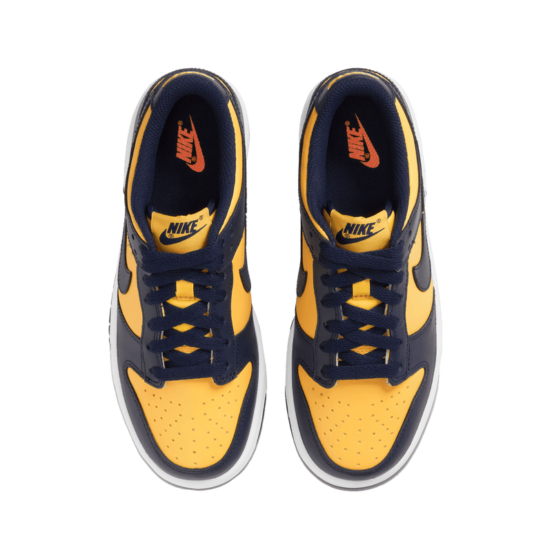 Nike Dunk Low Bg