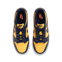 Nike Dunk Low Bg