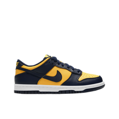 Nike Dunk Low Bg