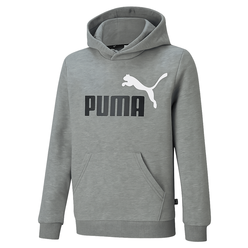 ESS+ 2 Col Big Logo Hoodie FL B