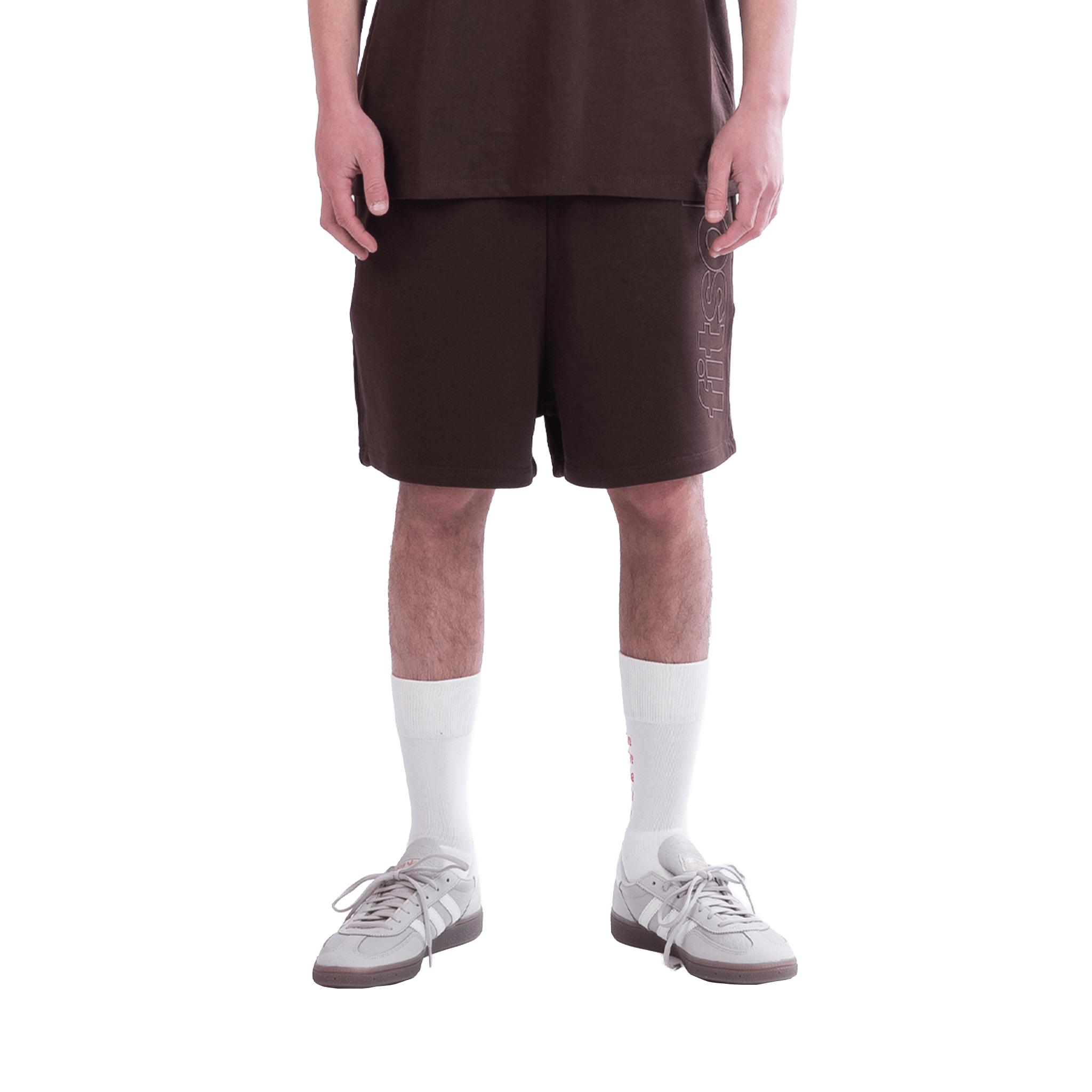 Fitsole Brown Shorts