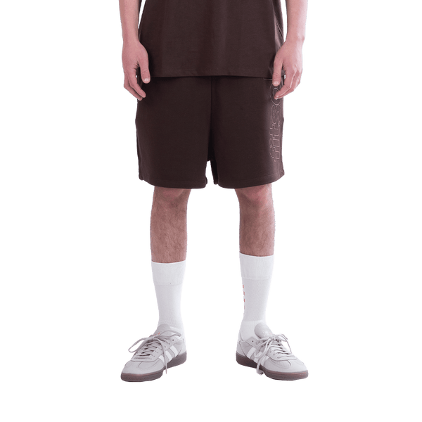 Fitsole Brown Shorts