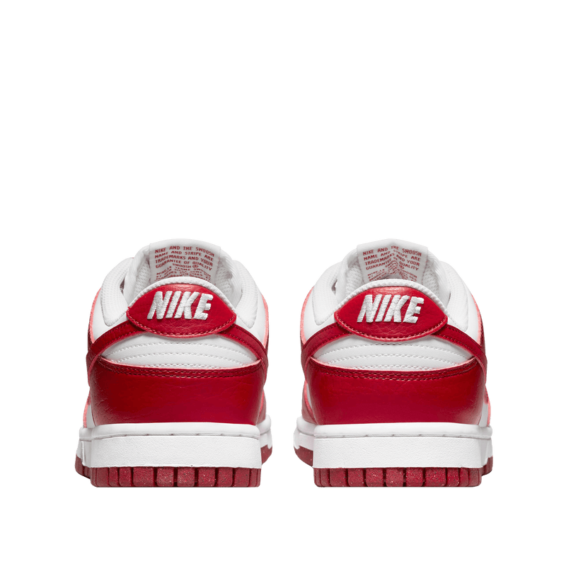 Nike Dunk Low Next Nature Sneakers – Women's