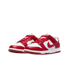 W NIKE DUNK LOW NEXT NATURE