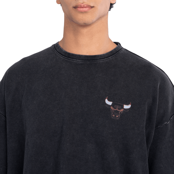 Chicago bulls champion t-shirt