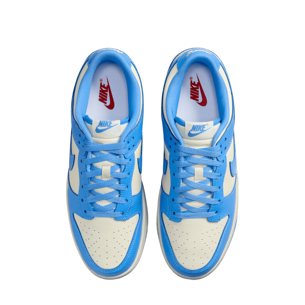 Nikedunklowretrobttys